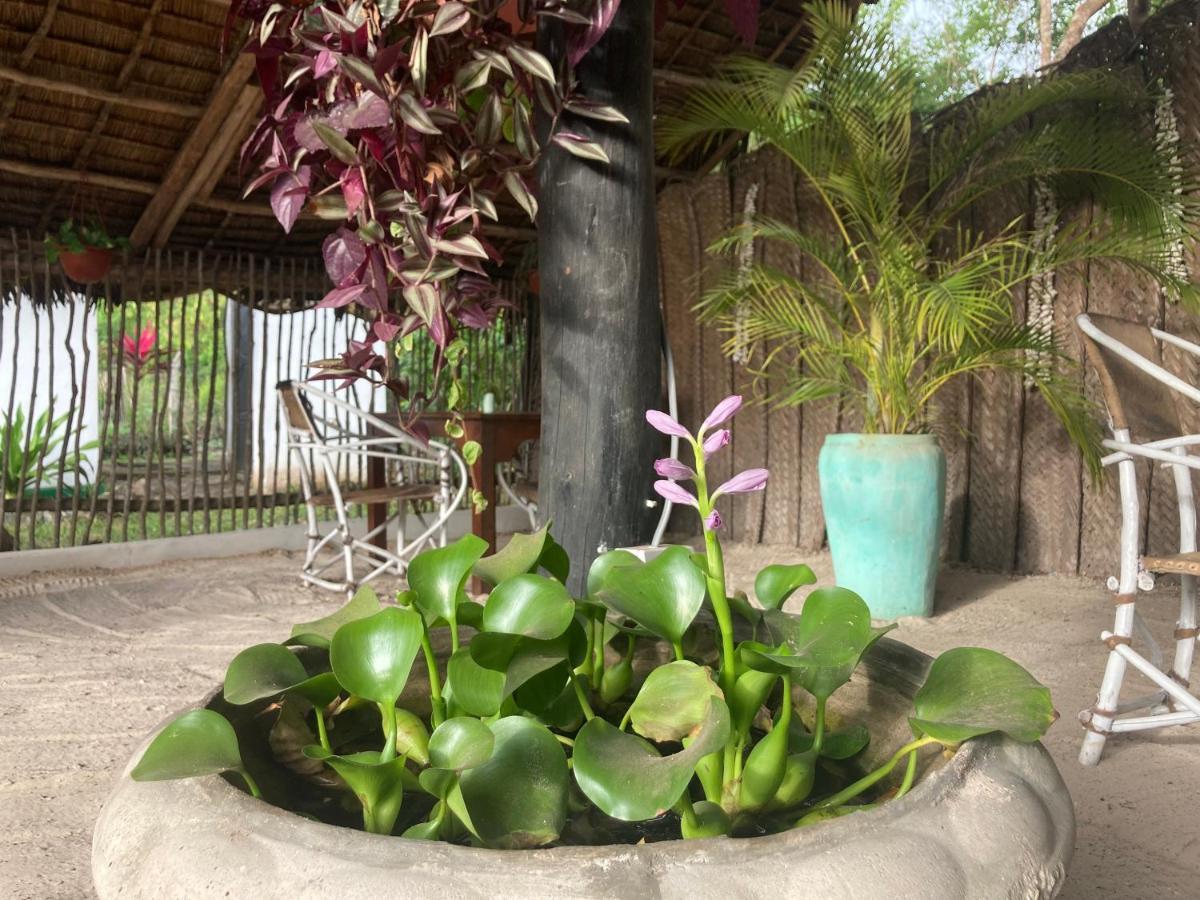 Botanica Eco Lodge Michamvi Exterior foto